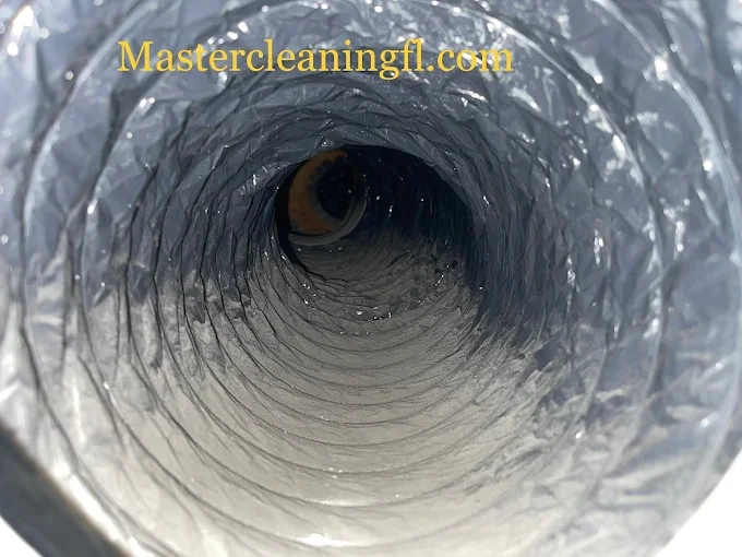 Stop Mold Before It Starts